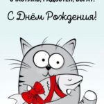 Котик с рыбкой