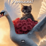 Котенок на летящем лебеде с букетом роз
