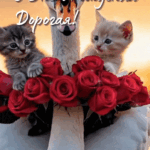 Котята на лебеде с цветами