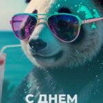 Панда в солнечных очка