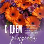 Фиолетовые и оранжевые цветы