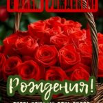 Корзина красных роз